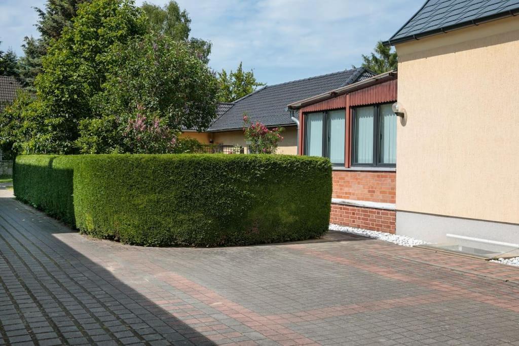 Charmantes Townhaus Mit Garten, W-Lan & Netflix Потсдам Екстериор снимка